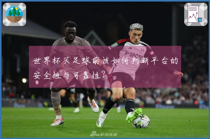 世界杯买足球前该如何判断平台的安全性与可靠性？