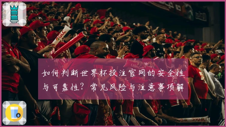 如何判断世界杯投注官网的安全性与可靠性？常见风险与注意事项解析